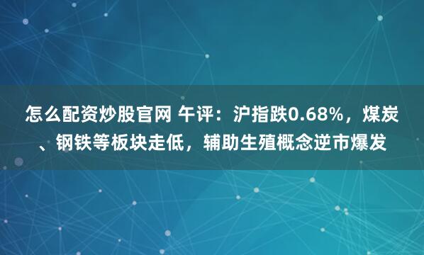怎么配资炒股官网 午评：沪指跌0.68%，煤炭、钢铁等板块走低，辅助生殖概念逆市爆发