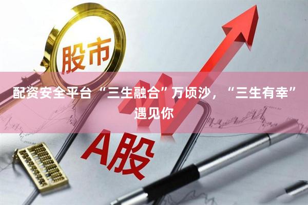 配资安全平台 “三生融合”万顷沙，“三生有幸”遇见你